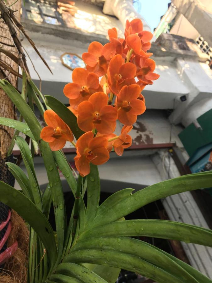 Hotel Cafe De Baan Raow Bangkok Zewnętrze zdjęcie